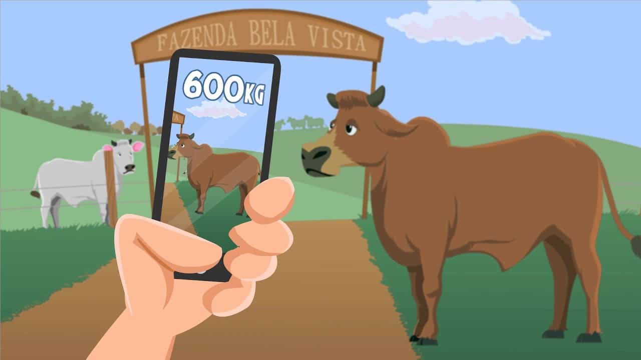 Aplicaciones para pesar ganado y animales
